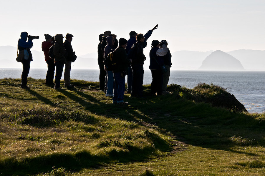 Birders at Estero Bluffs photo by Howard Ignatius