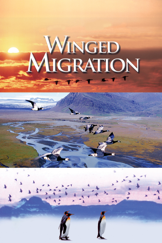 Winged Migration poster